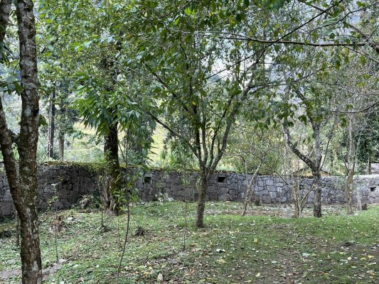 Z3866042676168 10f0df91f2022fc202f7e8118c6ba688